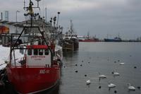 Im Hafen &ndash; &copy; Annett Müller (Eberhardt TRAVEL)