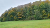 Fahrt durch die Polziner Schweiz  &ndash; &copy; Marlies Thrum (Eberhardt TRAVEL)