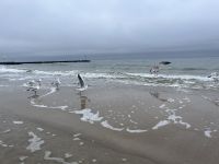 Strand von Kolberg &ndash; &copy; Vicky Kern (Eberhardt TRAVEL)