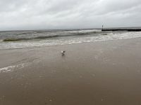 Strand &ndash; &copy; Vicky Kern (Eberhardt TRAVEL)