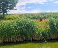 Auf dem Oberländer Kanal (16) &ndash; &copy; Marcus Hasselhorst (Eberhardt TRAVEL)