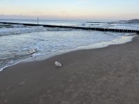 Strand von Kolberg &ndash; &copy; Vicky Kern (Eberhardt TRAVEL)