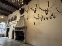 Jagdzimmer &ndash; &copy; Falk Rätzer (Eberhardt TRAVEL)