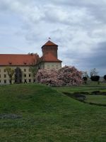 Wawel 