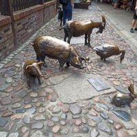 Breslau: Rundgang &ndash; &copy; Inge Bily (Eberhardt TRAVEL)