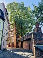 Tag 3 - Stadtmauer, Thorn
