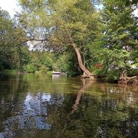 Masuren: Rundfahrt: Stakenbootfahrt auf der Krutynia &ndash; &copy; Inge Bily (Eberhardt TRAVEL)