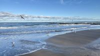 Strand, Kolberg 