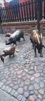 in der Fleischergasse &ndash; &copy; Barbara Pflicke (Eberhardt TRAVEL)