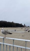 Polen, Kolberg