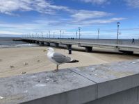 Polen, Kolberg (Kołobrzeg), Seebrücke &ndash; &copy; Sabine C. Seifert (Eberhardt TRAVEL)