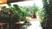 Wintergarten des Hotels Olymp IV