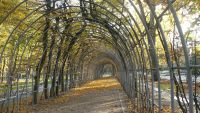 Kolberg Kurpark Liebestunnel