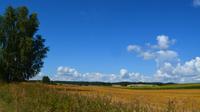 074 Masurische Landschaft &ndash; &copy; Konrad Füssel (Eberhardt TRAVEL)