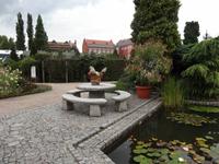 botanischer Garten 