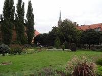 botanischer Garten 