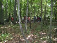 Führung durch die Wolfsschanze &ndash; &copy; Lisa Frank (Eberhardt TRAVEL)
