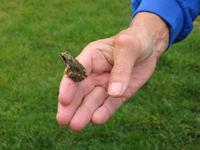 Froschjagd am Spirdingsee &ndash; &copy; Lisa Frank (Eberhardt TRAVEL)