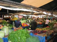 Markt in Posen &ndash; &copy; Lisa Frank (Eberhardt TRAVEL)