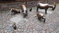 Fleischbänke in Wroclaw &ndash; &copy; Simone Kaufmann im Auftrag von Eberhardt TRAVEL (Eberhardt TRAVEL)