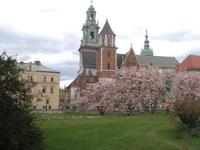 Wawel &ndash; &copy; Jürgen Schmeißer (Eberhardt TRAVEL)
