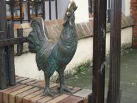 Hahn