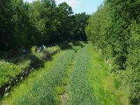 Oberländer Kanal &ndash; &copy; Maria Hoyer (Eberhardt TRAVEL)