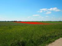 Masuren &ndash; &copy; Maria Hoyer (Eberhardt TRAVEL)