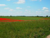 Masuren &ndash; &copy; Maria Hoyer (Eberhardt TRAVEL)