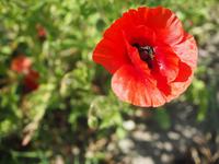 Masuren &ndash; &copy; Maria Hoyer (Eberhardt TRAVEL)