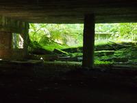 Wolfsschanze &ndash; &copy; Maria Hoyer (Eberhardt TRAVEL)