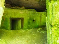 Wolfsschanze &ndash; &copy; Maria Hoyer (Eberhardt TRAVEL)