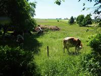 Radtour Tag 3 &ndash; &copy; Maria Hoyer (Eberhardt TRAVEL)