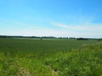 Masuren &ndash; &copy; Maria Hoyer (Eberhardt TRAVEL)