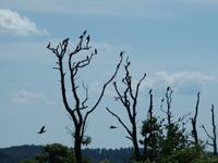 Bootsausflug &ndash; &copy; Maria Hoyer (Eberhardt TRAVEL)