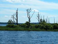 Kormoraninsel &ndash; &copy; Maria Hoyer (Eberhardt TRAVEL)