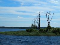 Kormoraninsel &ndash; &copy; Maria Hoyer (Eberhardt TRAVEL)