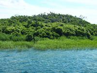 Kormoraninsel &ndash; &copy; Maria Hoyer (Eberhardt TRAVEL)