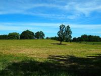 Masuren &ndash; &copy; Maria Hoyer (Eberhardt TRAVEL)