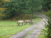 Radreise Masuren Sept. 2014 192 &ndash; &copy; Barbara Werrmann (Eberhardt TRAVEL)
