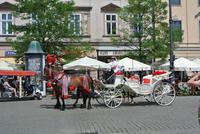 Auf dem Rynek in Krakau
