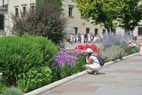 Auf dem Wawel &ndash; &copy; Gerd Przybyla (Eberhardt TRAVEL)