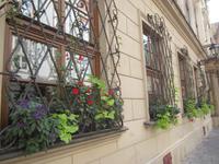 Krakau-Stadtführung &ndash; &copy; Gisela Gerlach (Eberhardt TRAVEL)