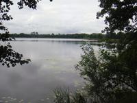 Seenlandschaft