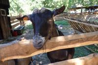 Wer bist denn du ? &ndash; &copy; Horst Hallfarth (Eberhardt TRAVEL)