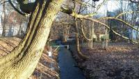 30.12.17 Oliwa 7 &ndash; &copy; Anna Jeske (Eberhardt TRAVEL)