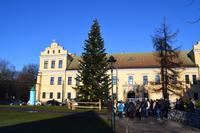 Papstfenster &ndash; &copy; Andreas Wolfsteller (Eberhardt TRAVEL)