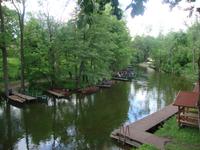 Krutyna