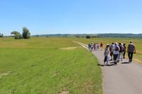 Spaziergang in die Oderauen im Nationalpark Unteres Odertal &ndash; &copy; Kristin Weigel (Eberhardt TRAVEL)
