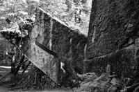 Wolfsschanze